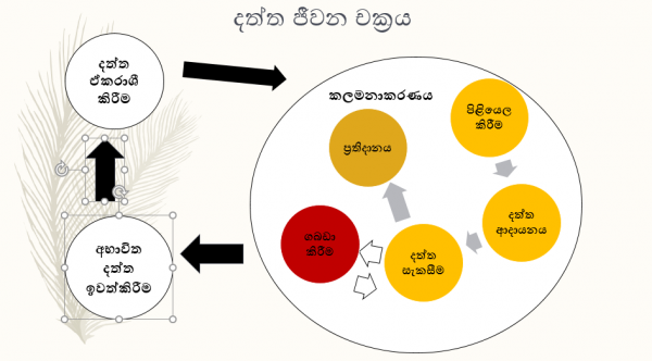 Life Cycle of Data